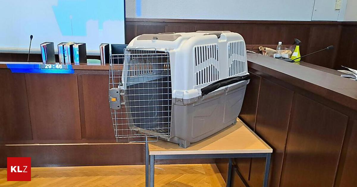 Sohn In Hundebox Gesperrt Strafen F R Beide Frauen Best Tigt